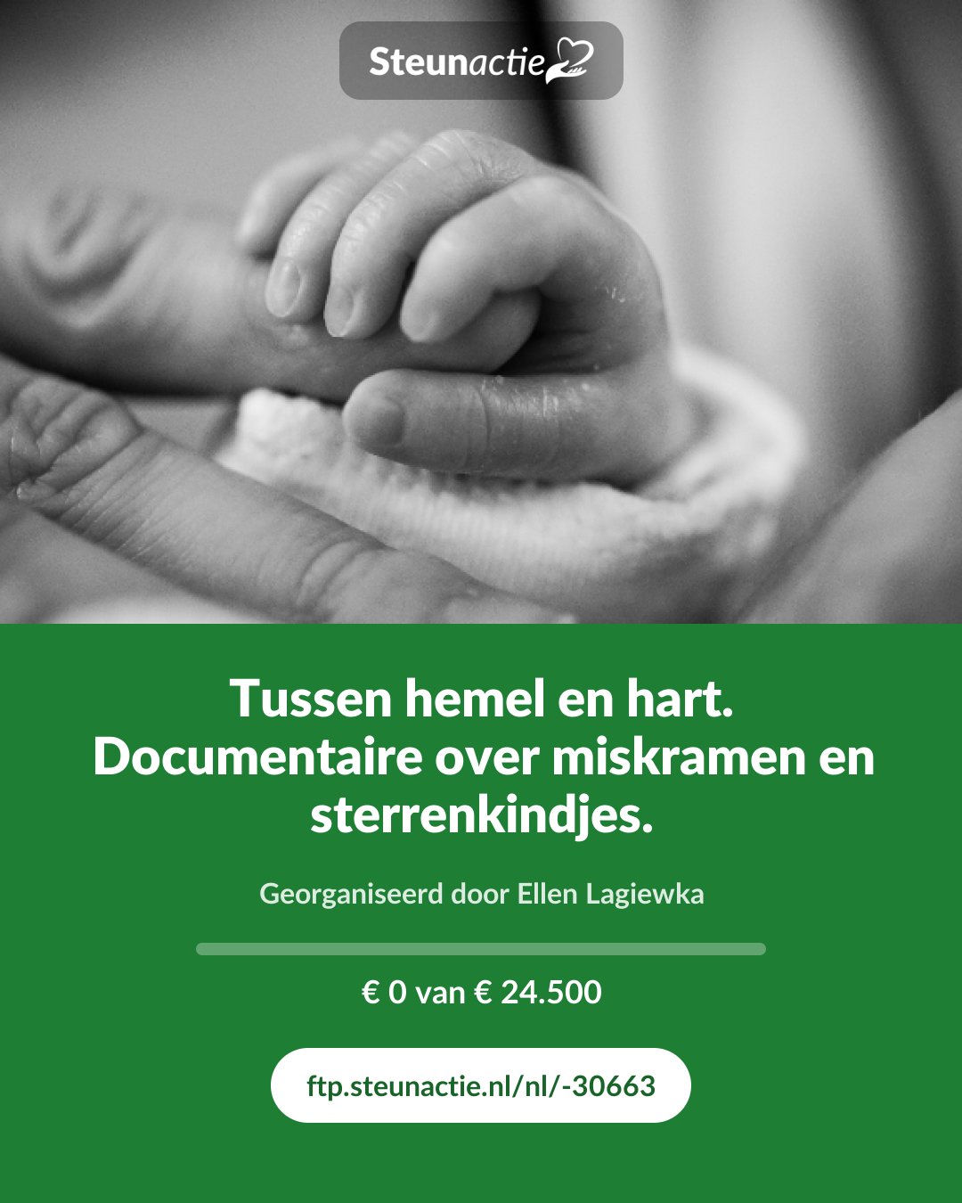 Voorbeeld van de afbeelding