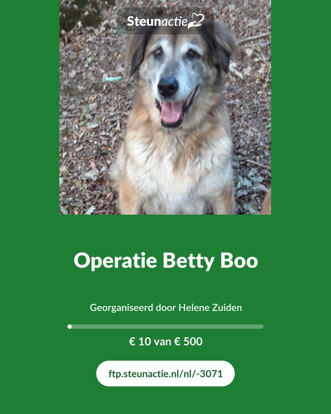 Voorbeeld van de afbeelding