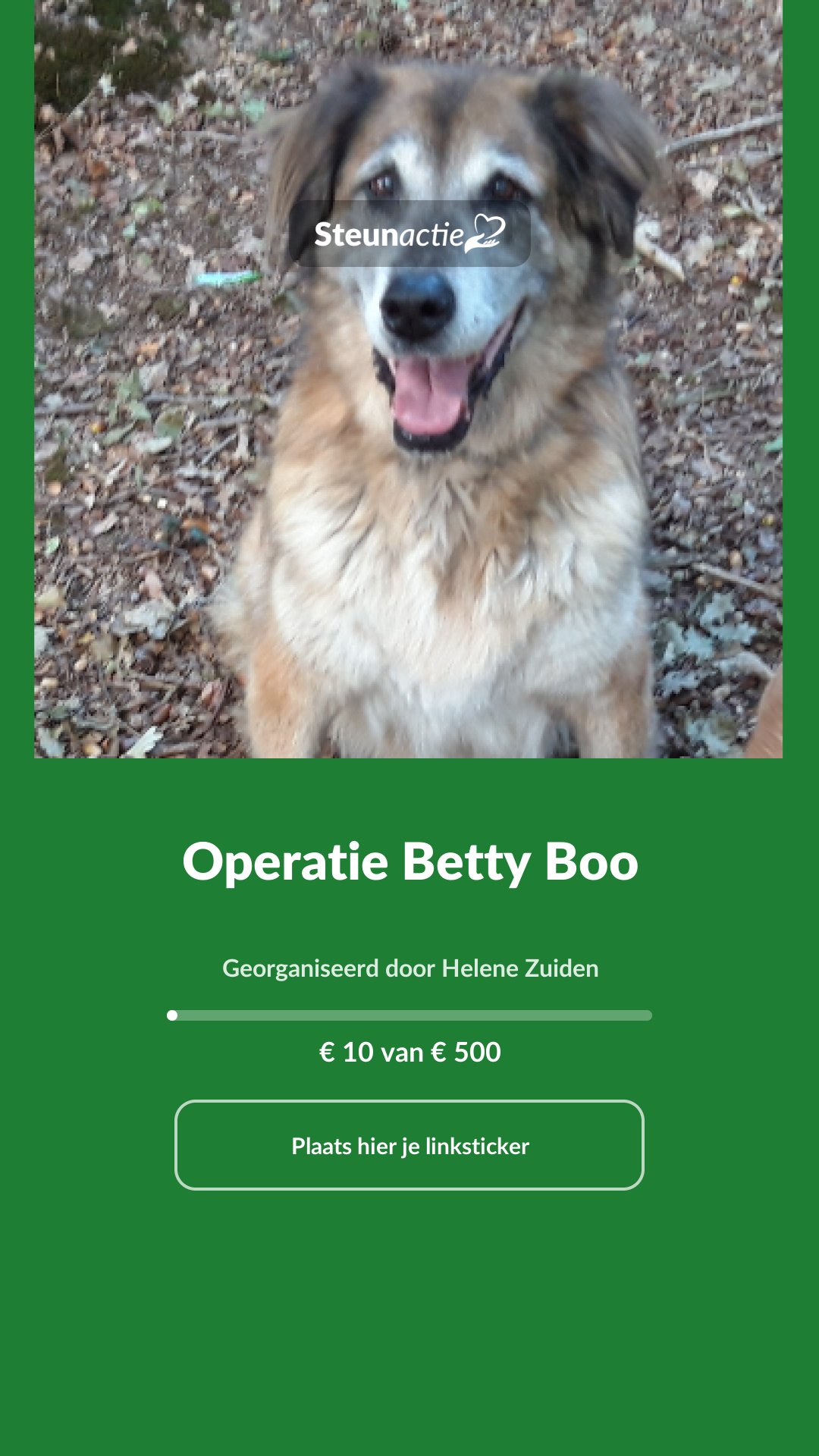 Voorbeeld van de afbeelding