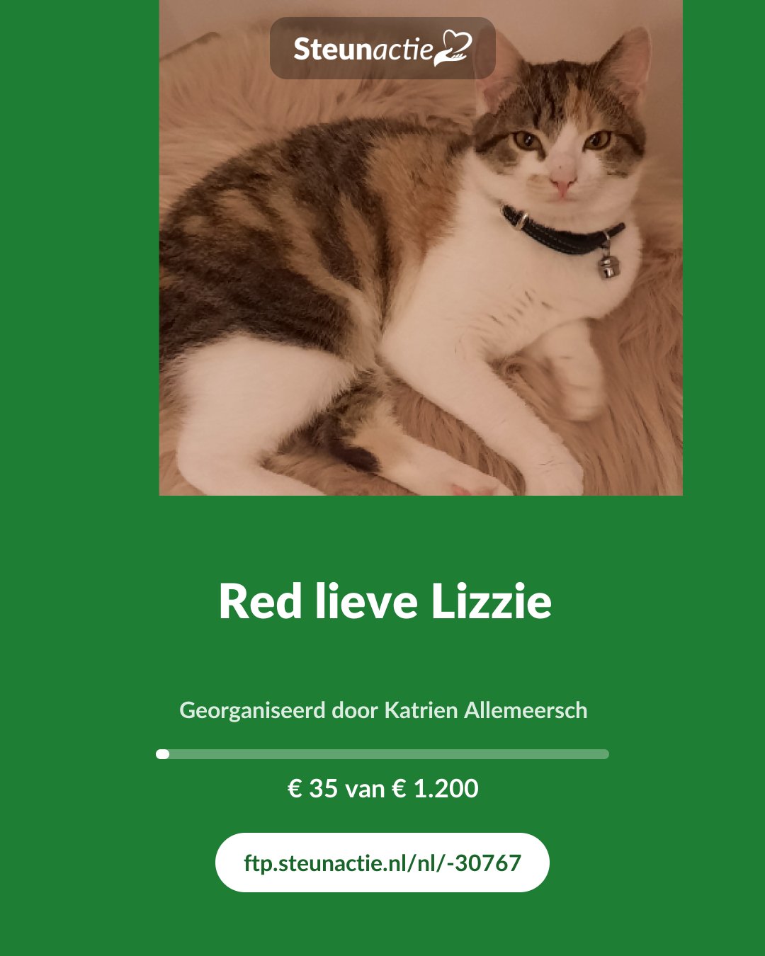 Voorbeeld van de afbeelding