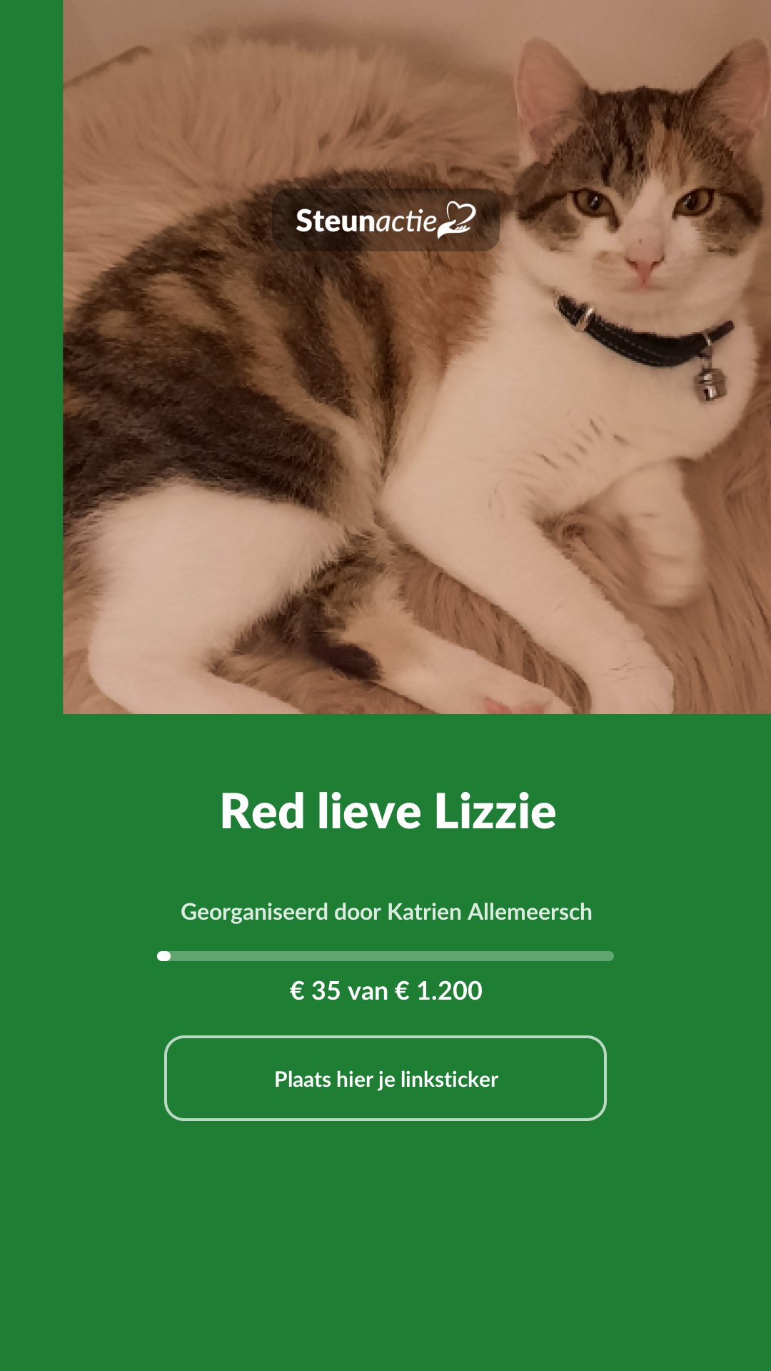 Voorbeeld van de afbeelding