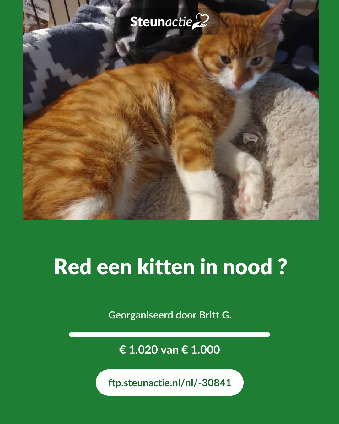 Voorbeeld van de afbeelding