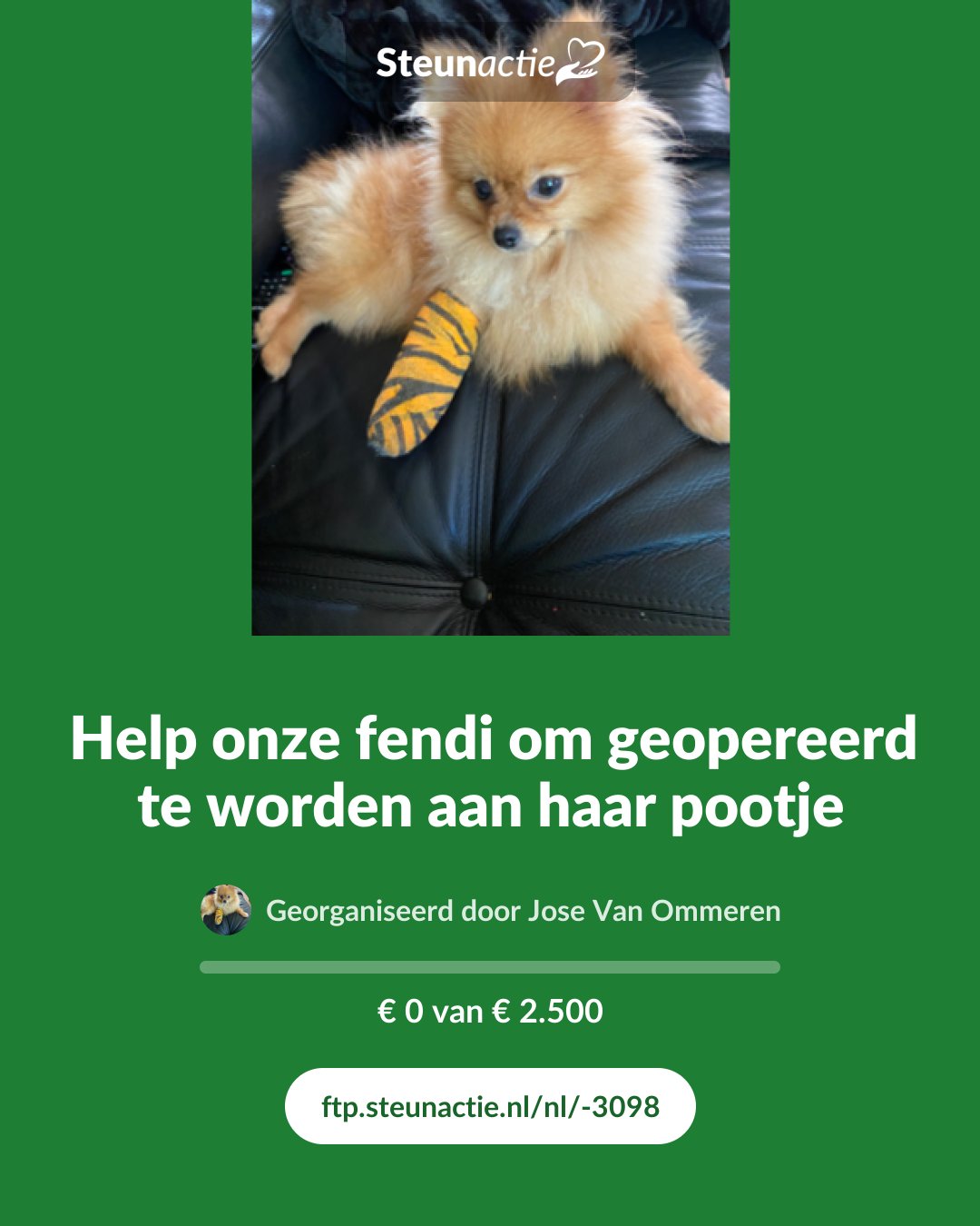 Voorbeeld van de afbeelding