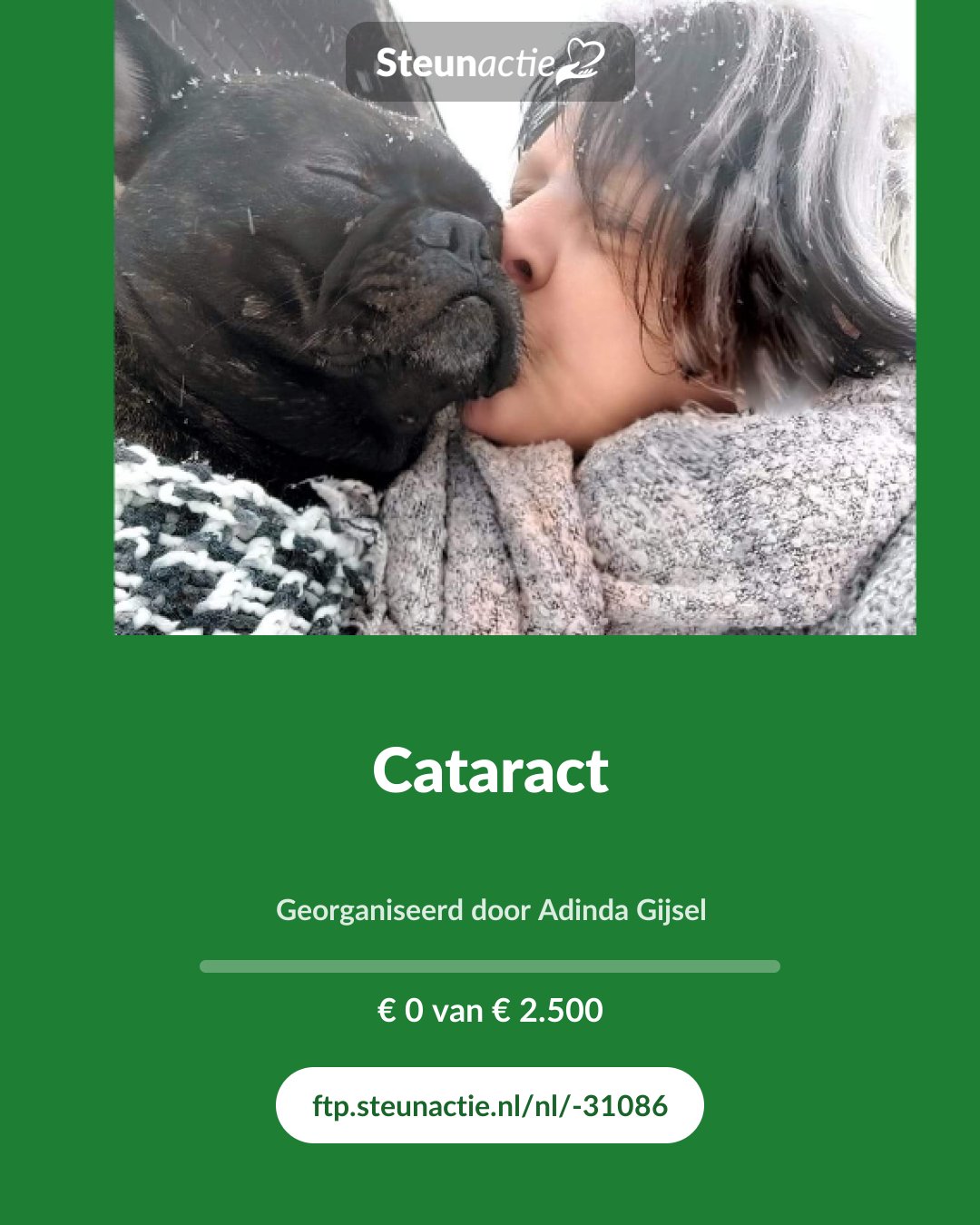 Voorbeeld van de afbeelding