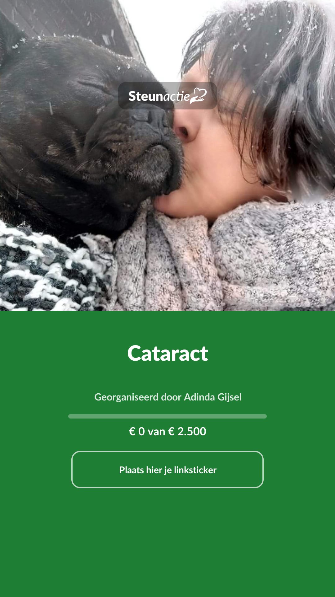 Voorbeeld van de afbeelding