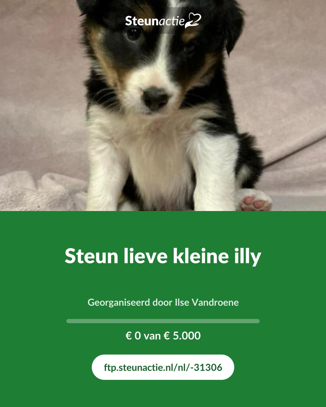 Voorbeeld van de afbeelding