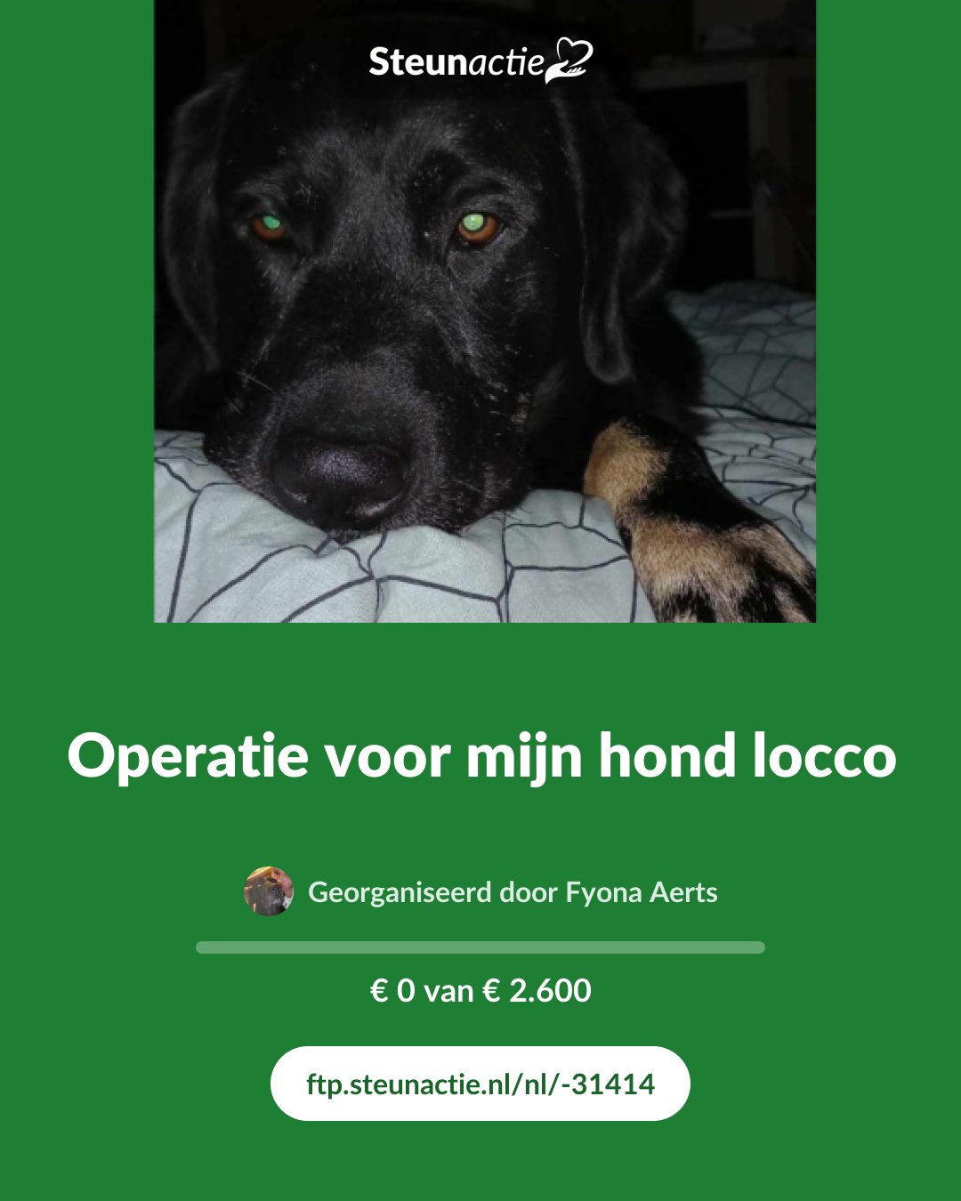 Voorbeeld van de afbeelding