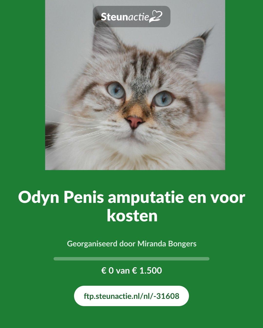 Voorbeeld van de afbeelding
