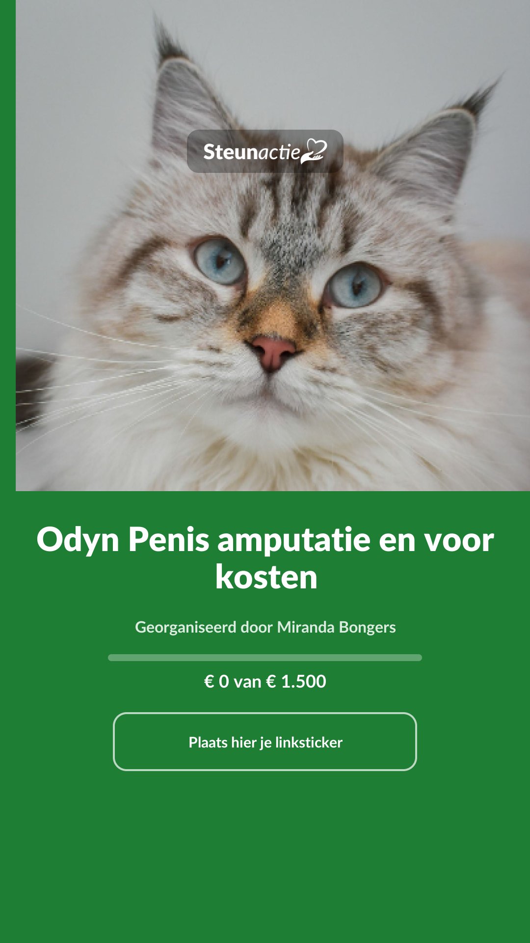 Voorbeeld van de afbeelding