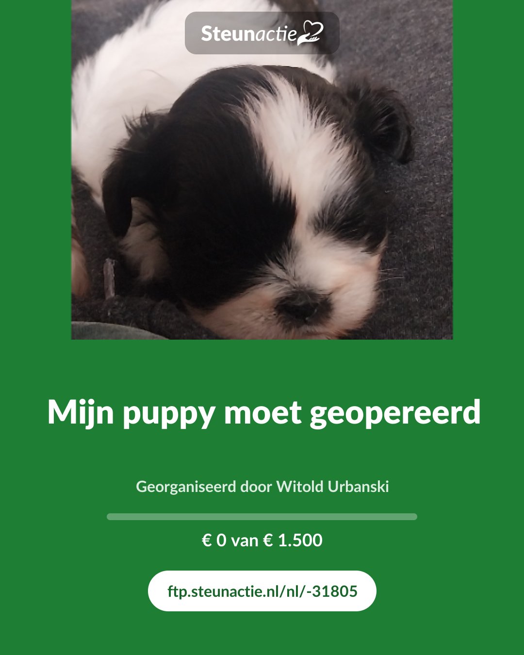 Voorbeeld van de afbeelding