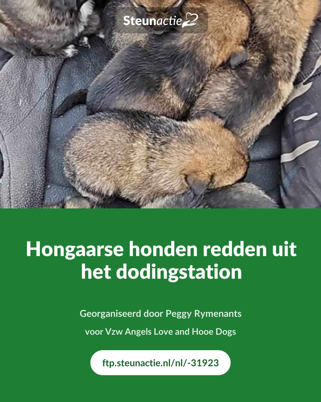Voorbeeld van de afbeelding