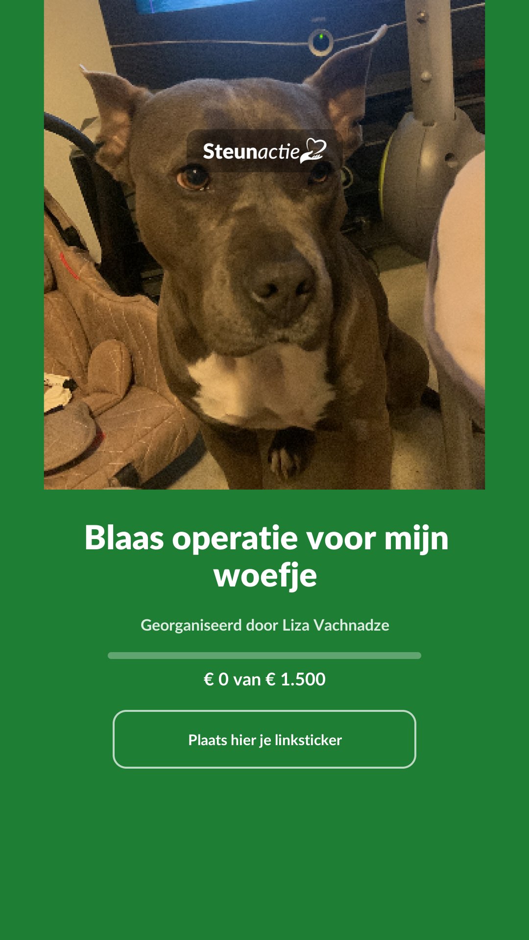 Voorbeeld van de afbeelding