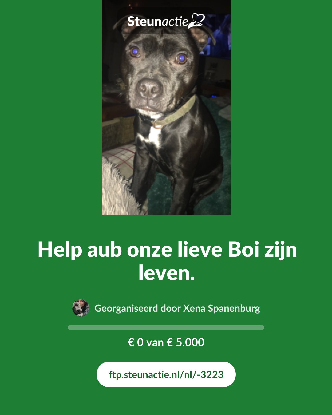 Voorbeeld van de afbeelding