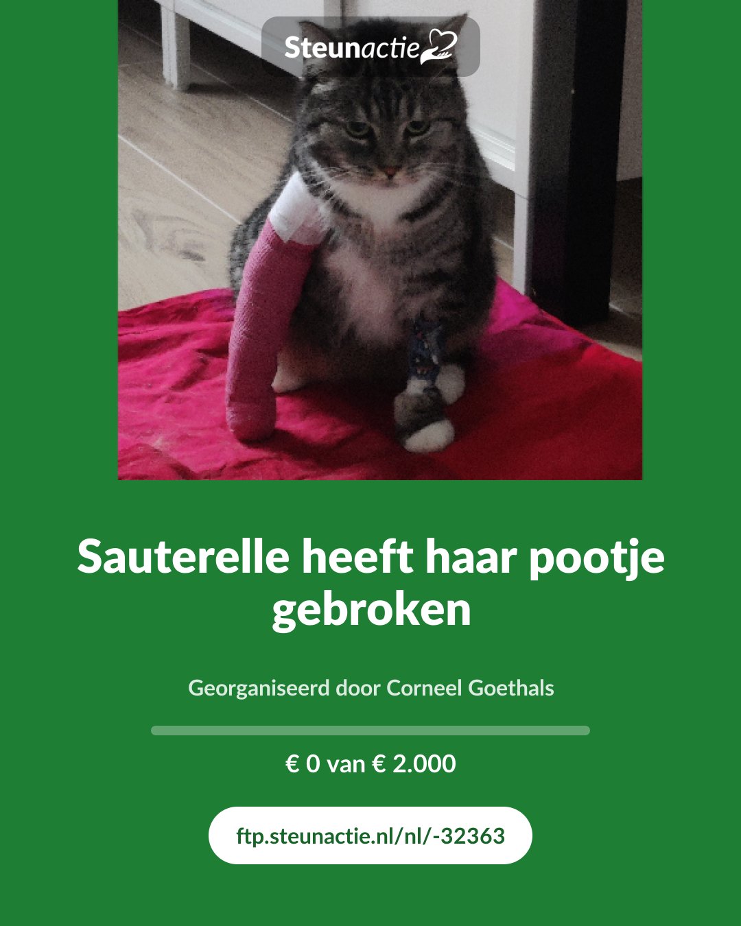 Voorbeeld van de afbeelding