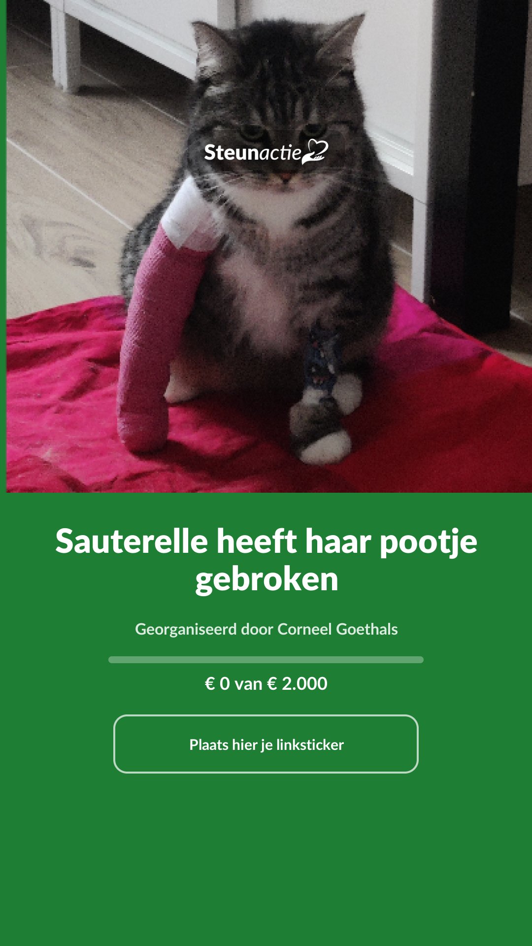 Voorbeeld van de afbeelding