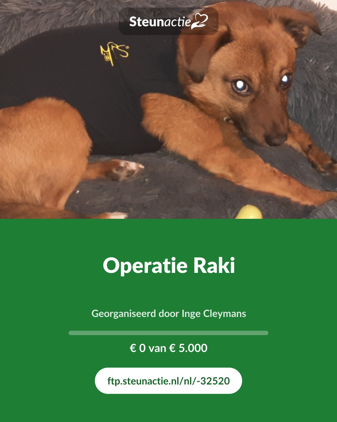 Voorbeeld van de afbeelding