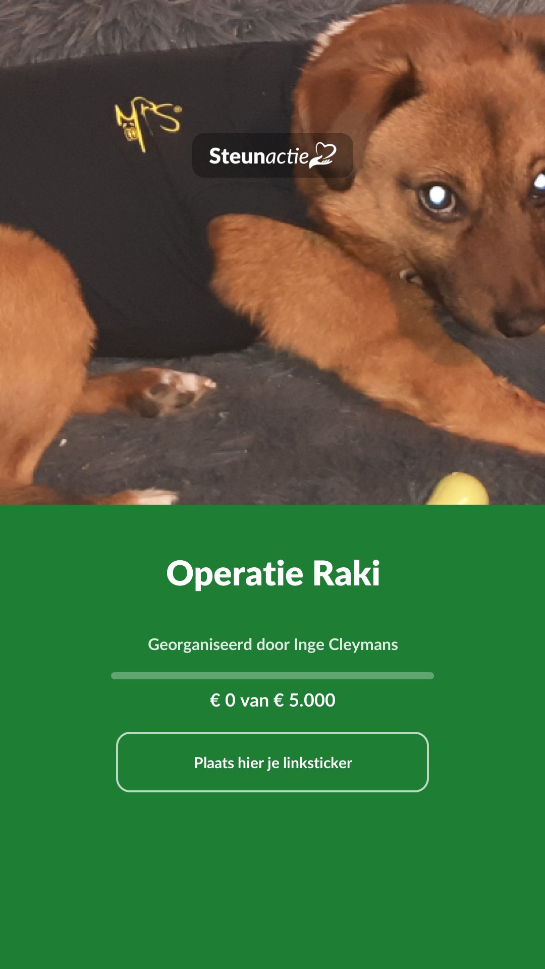 Voorbeeld van de afbeelding