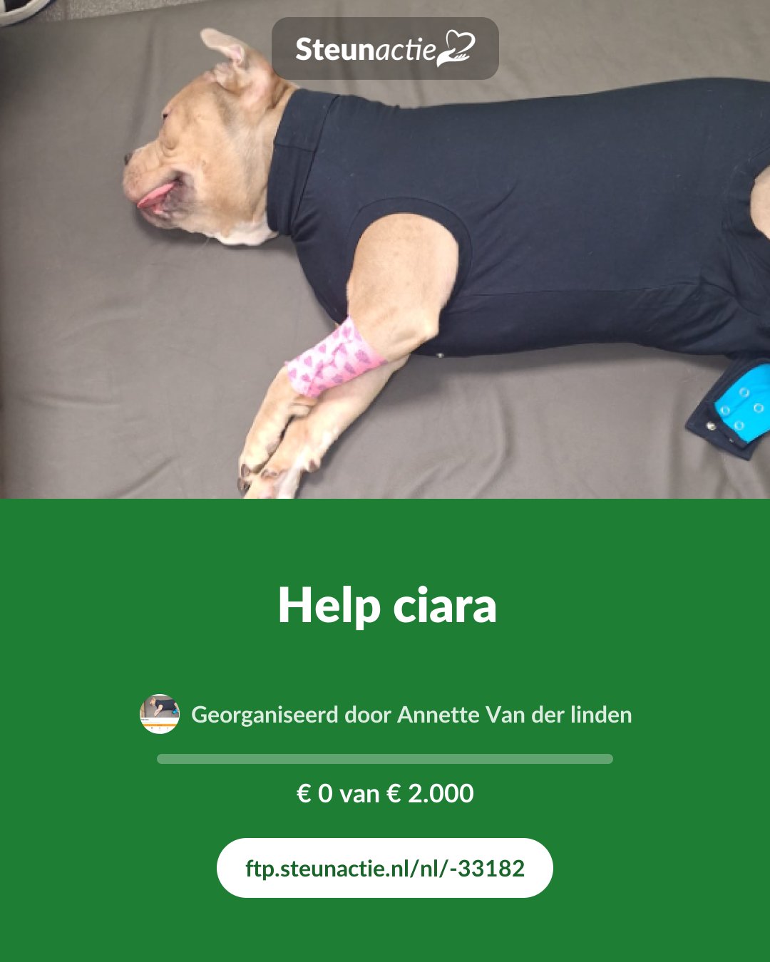 Voorbeeld van de afbeelding