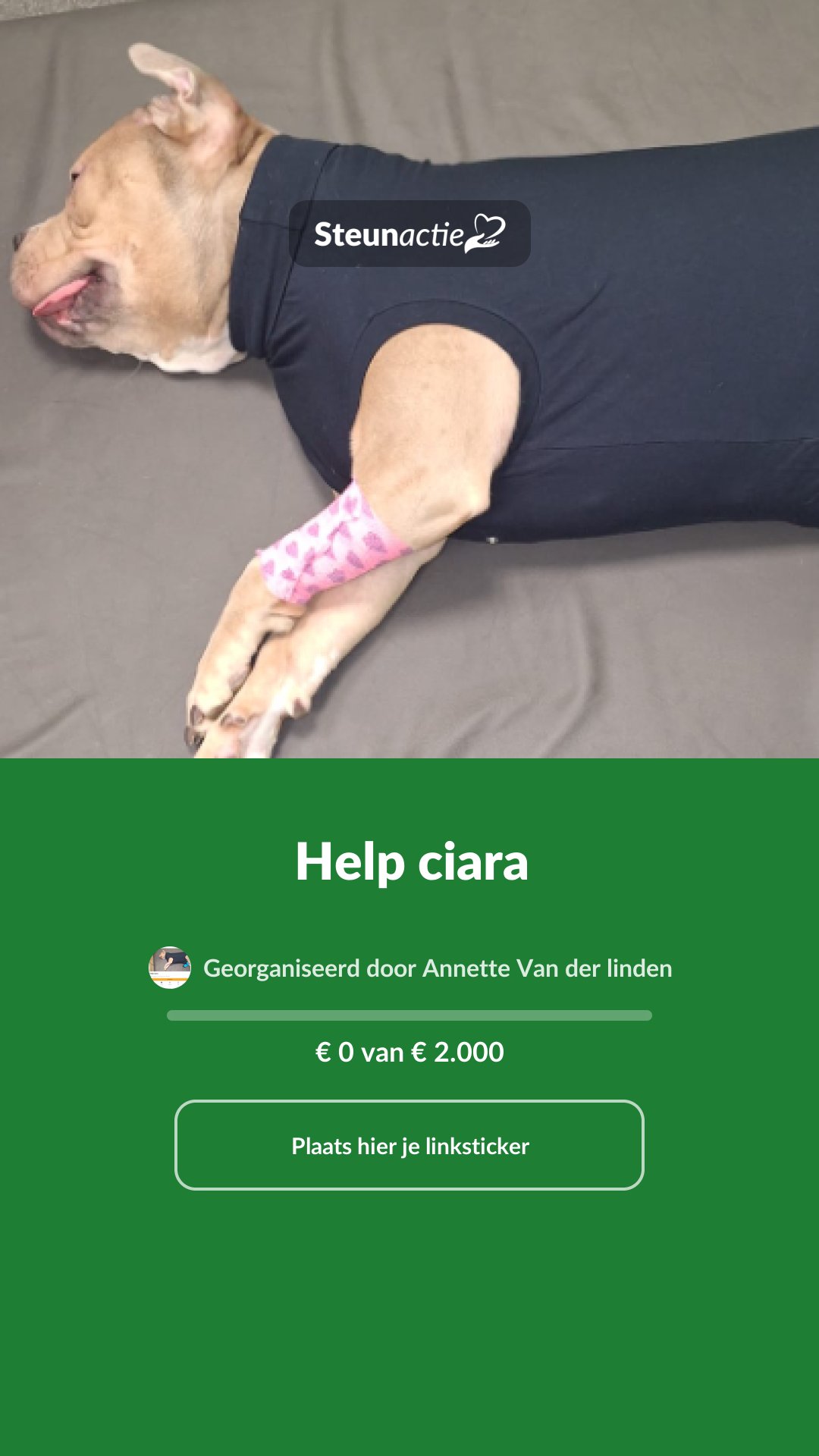 Voorbeeld van de afbeelding