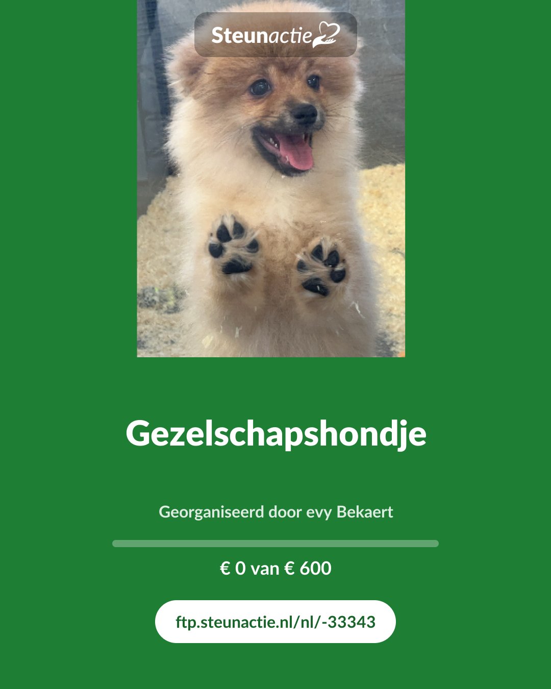 Voorbeeld van de afbeelding