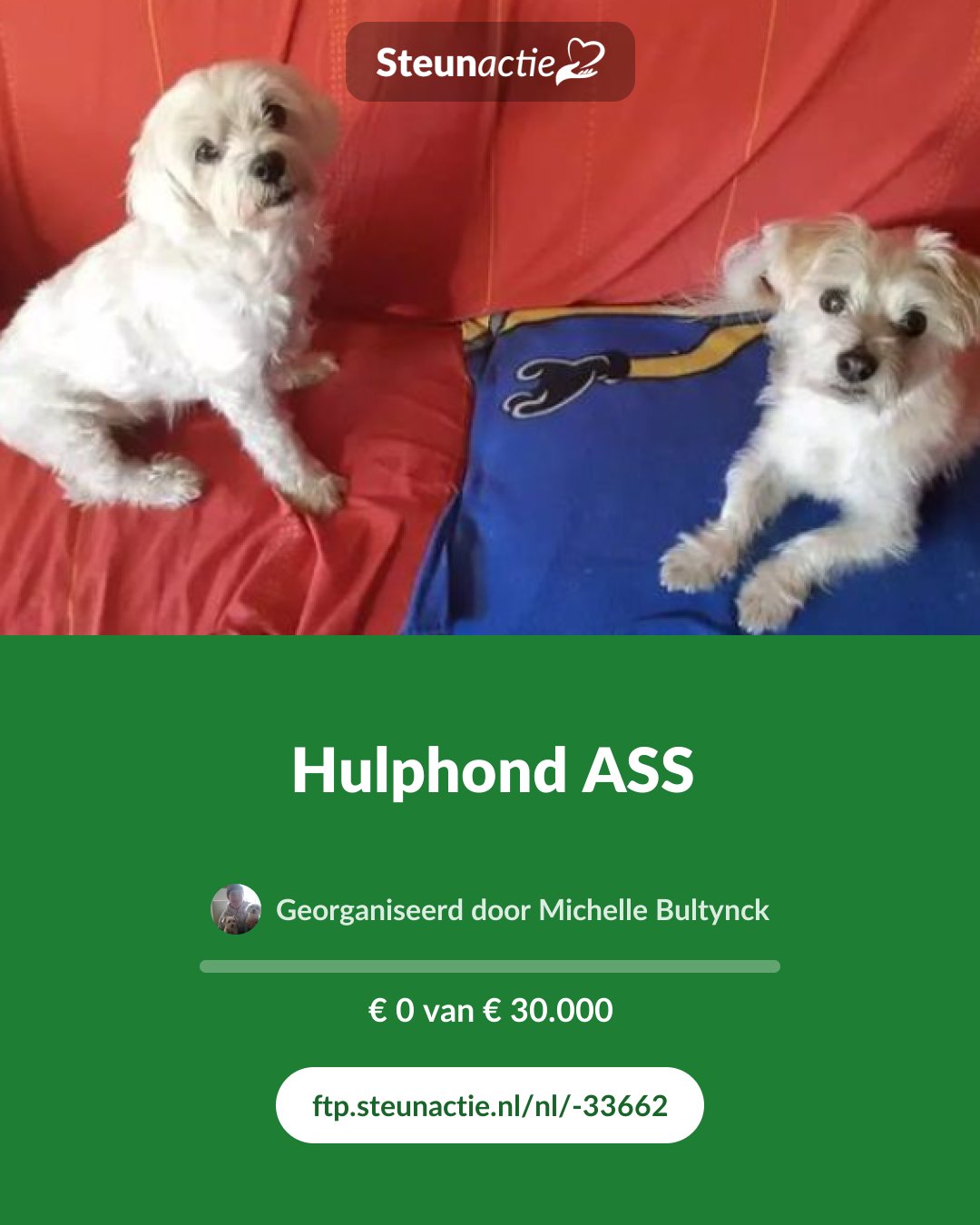 Voorbeeld van de afbeelding