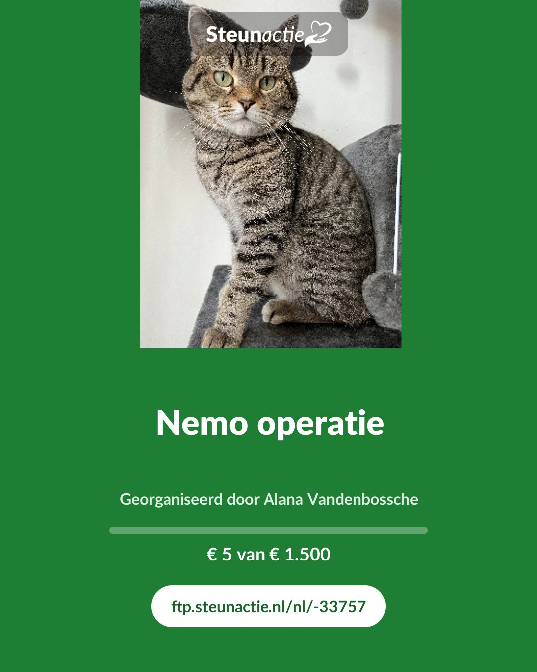 Voorbeeld van de afbeelding