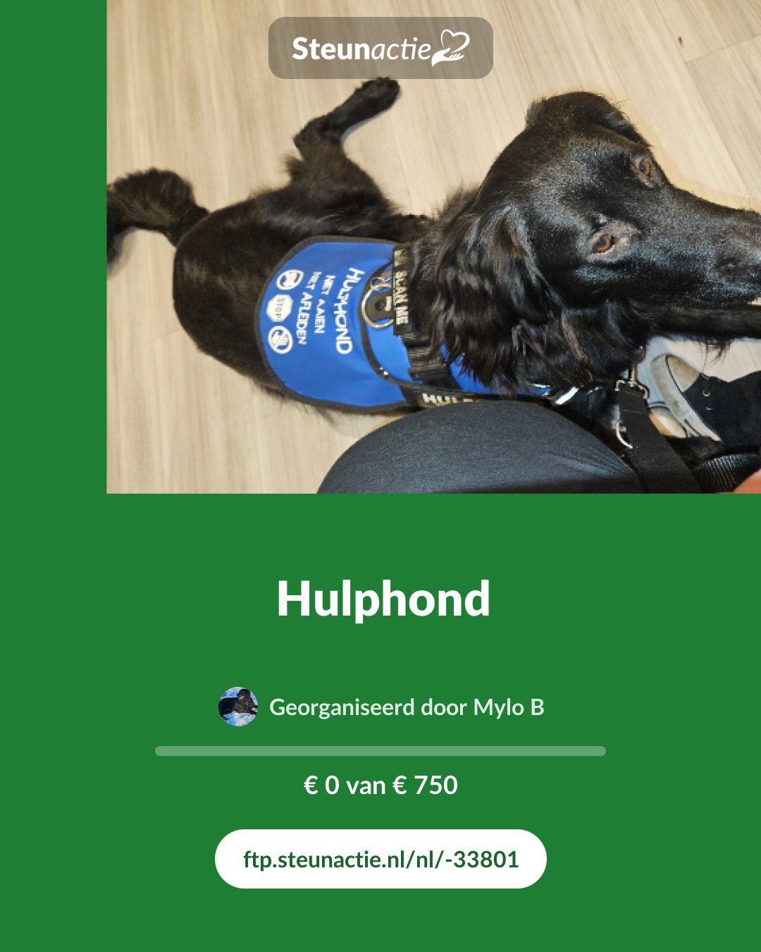Voorbeeld van de afbeelding