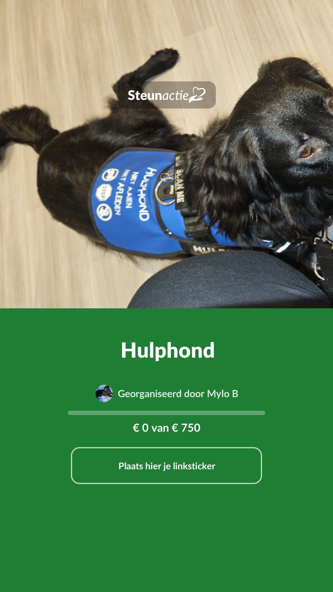 Voorbeeld van de afbeelding