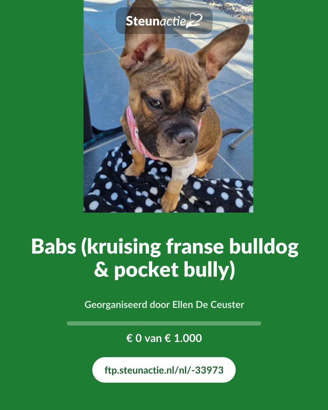 Voorbeeld van de afbeelding