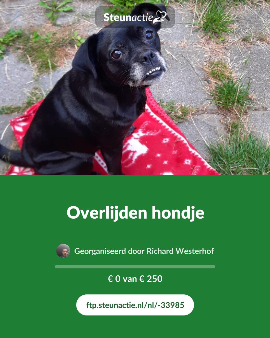 Voorbeeld van de afbeelding