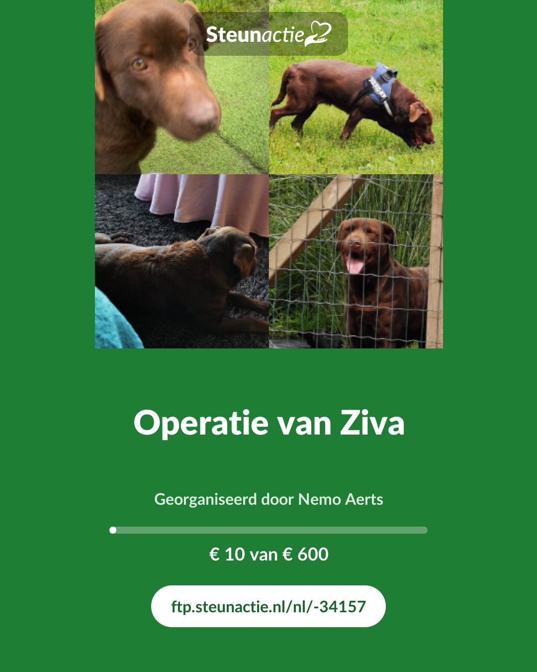 Voorbeeld van de afbeelding