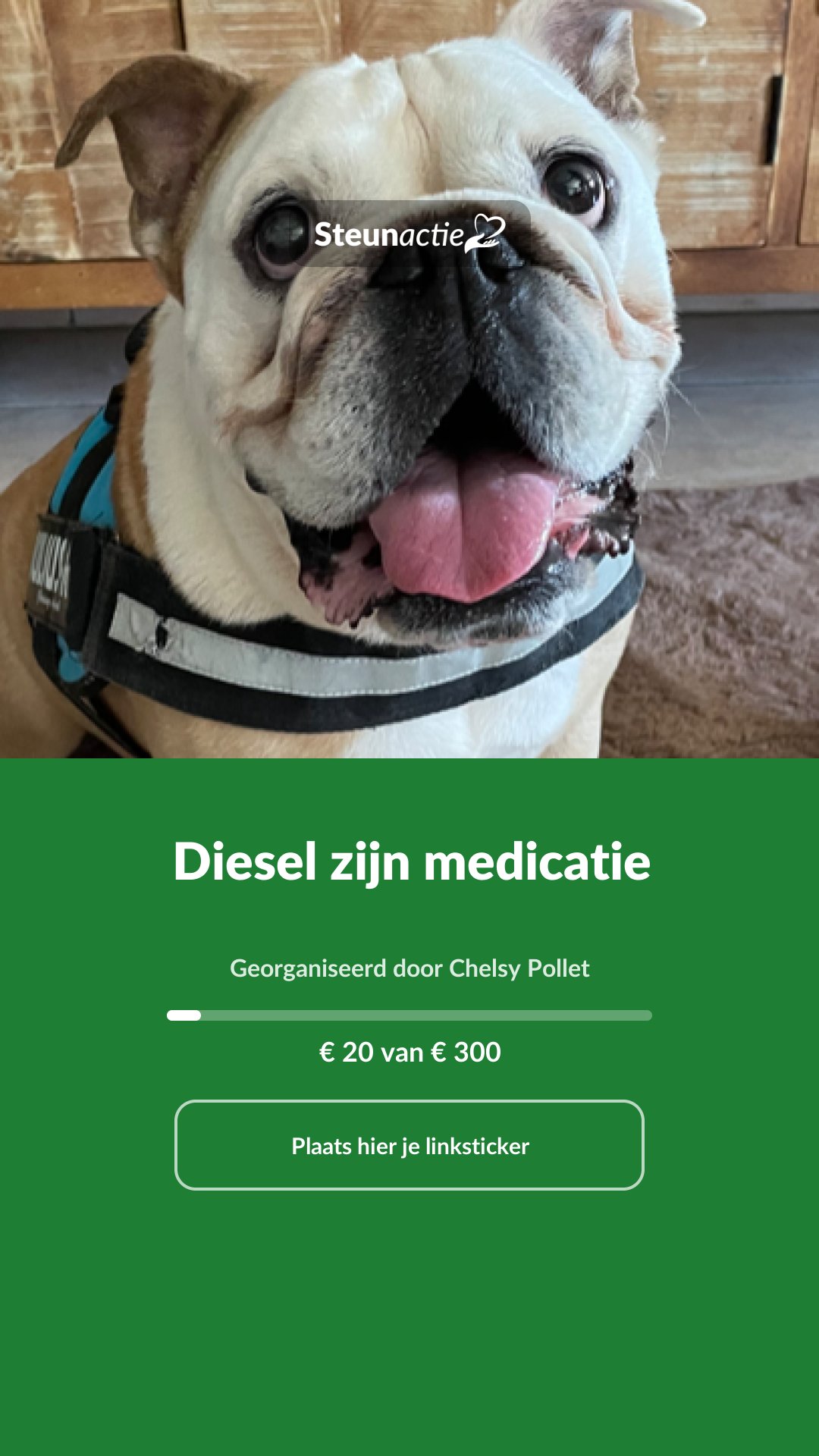 Voorbeeld van de afbeelding