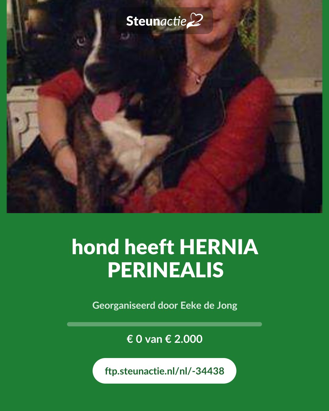 Voorbeeld van de afbeelding