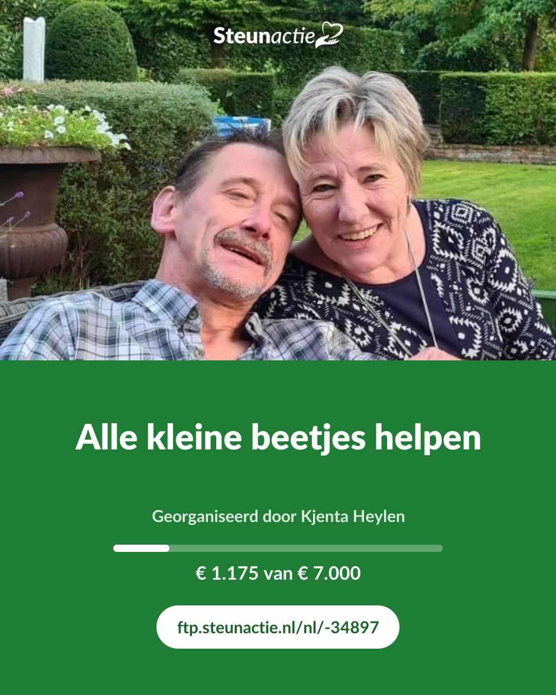 Voorbeeld van de afbeelding