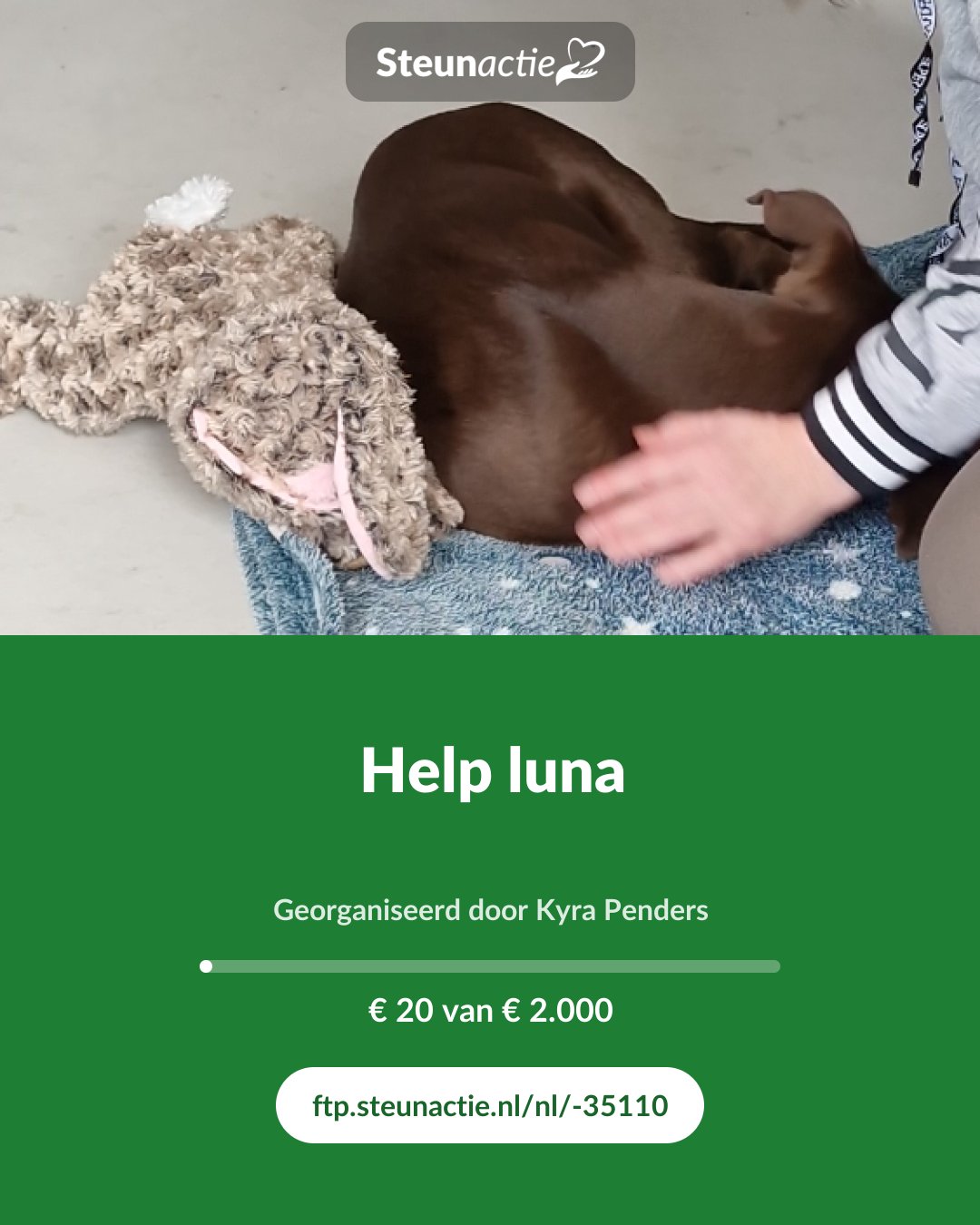 Voorbeeld van de afbeelding