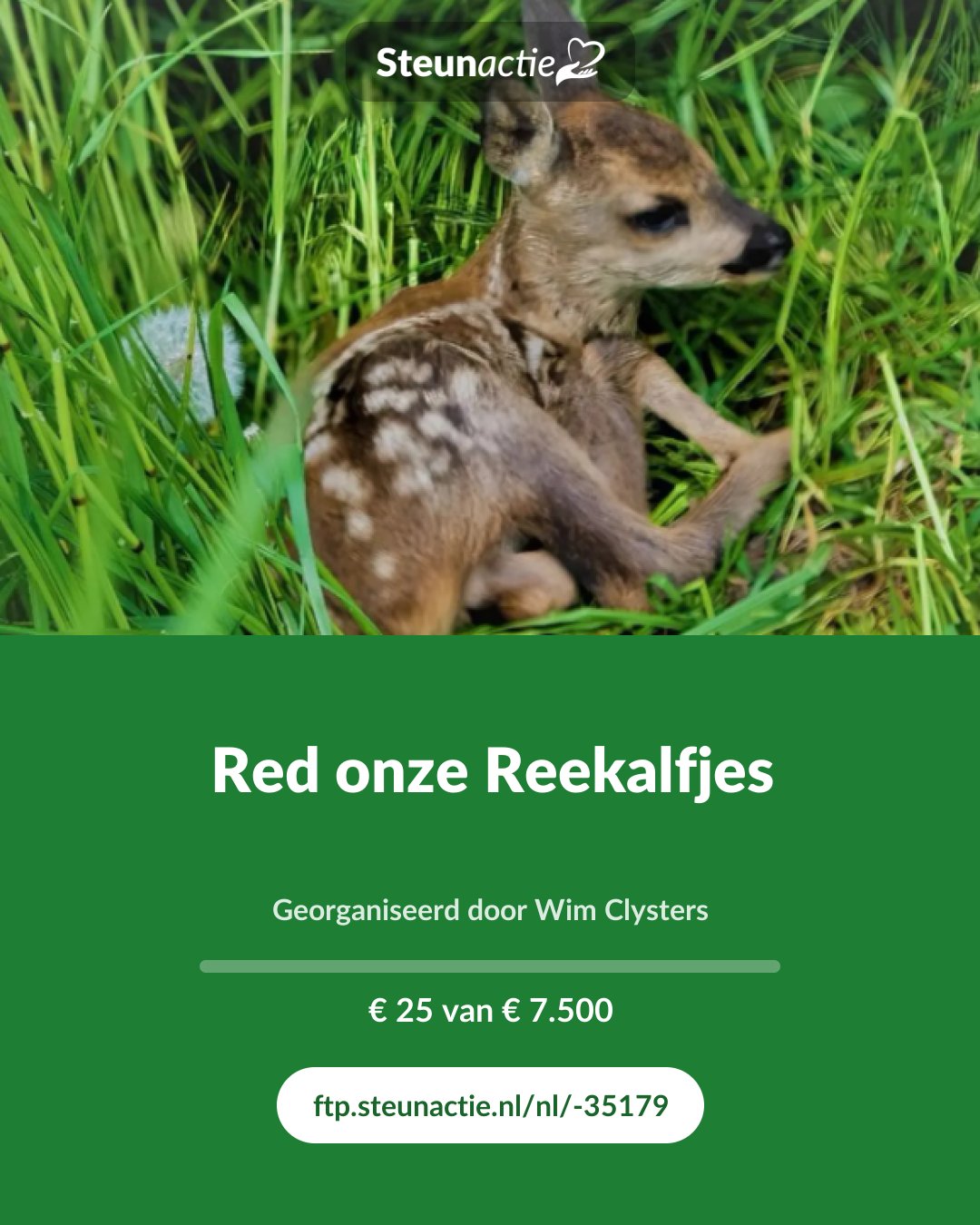 Voorbeeld van de afbeelding