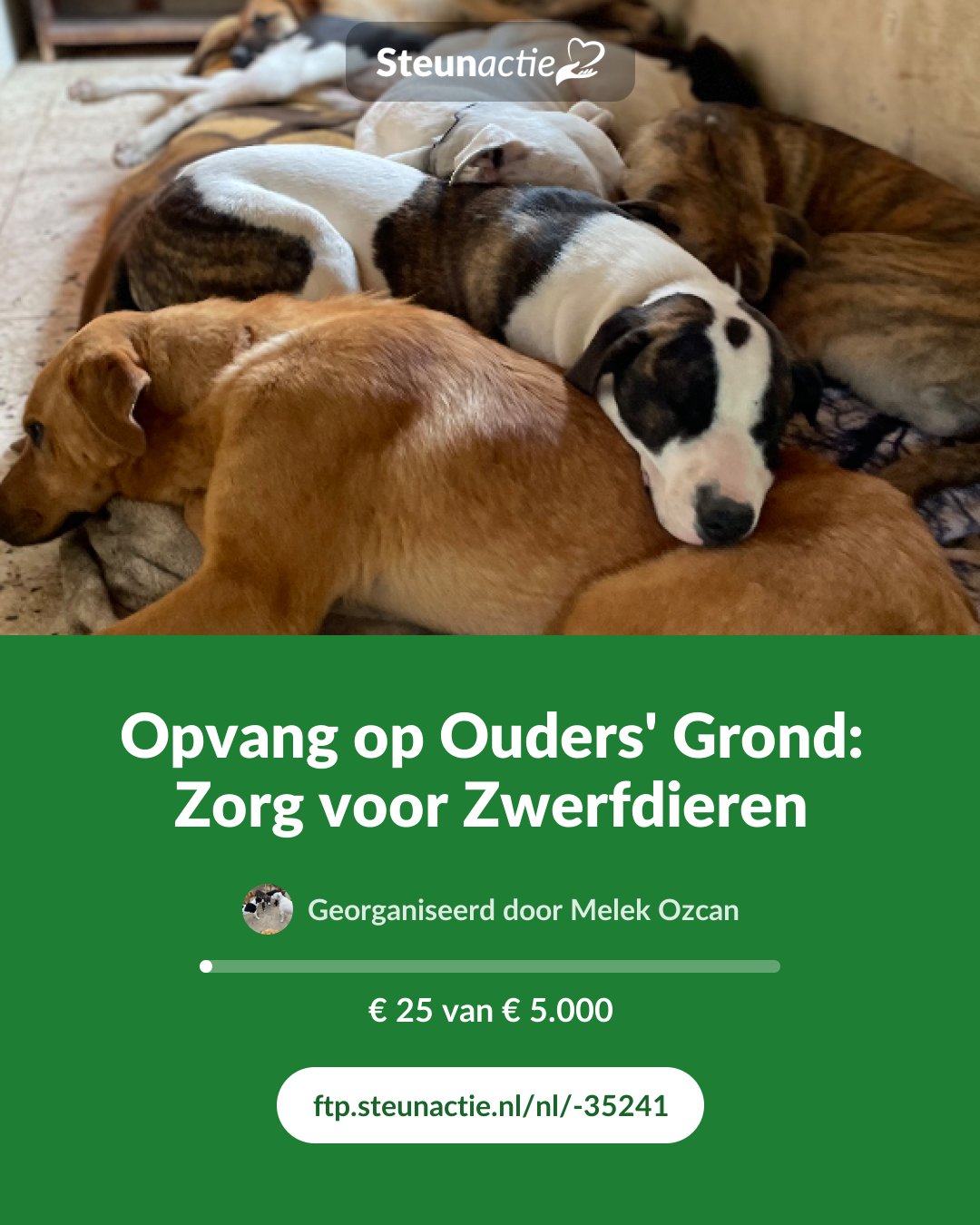 Voorbeeld van de afbeelding