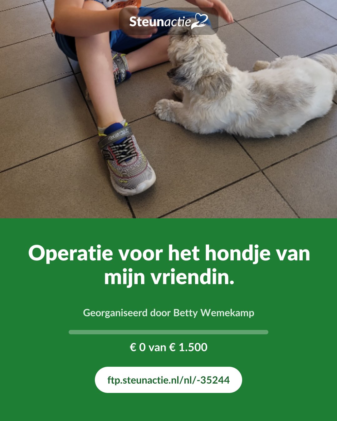 Voorbeeld van de afbeelding