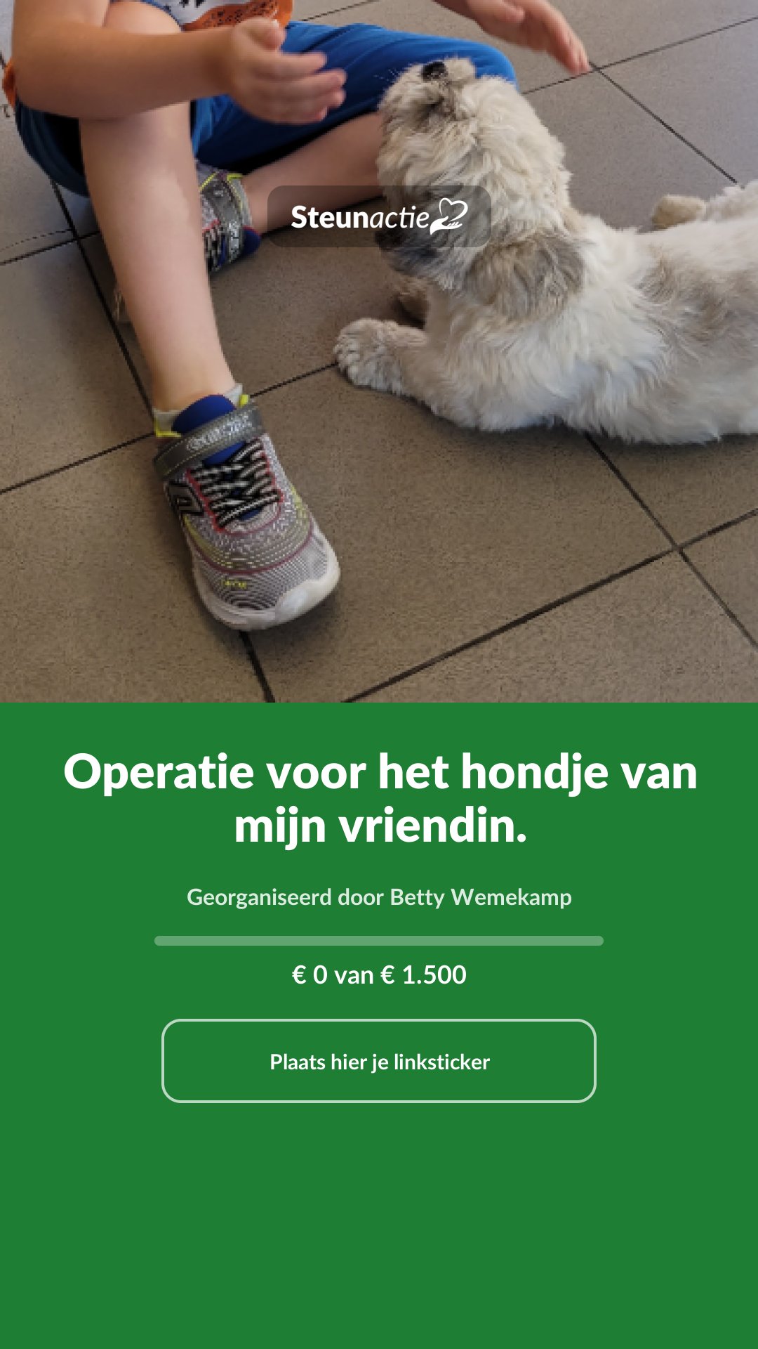 Voorbeeld van de afbeelding
