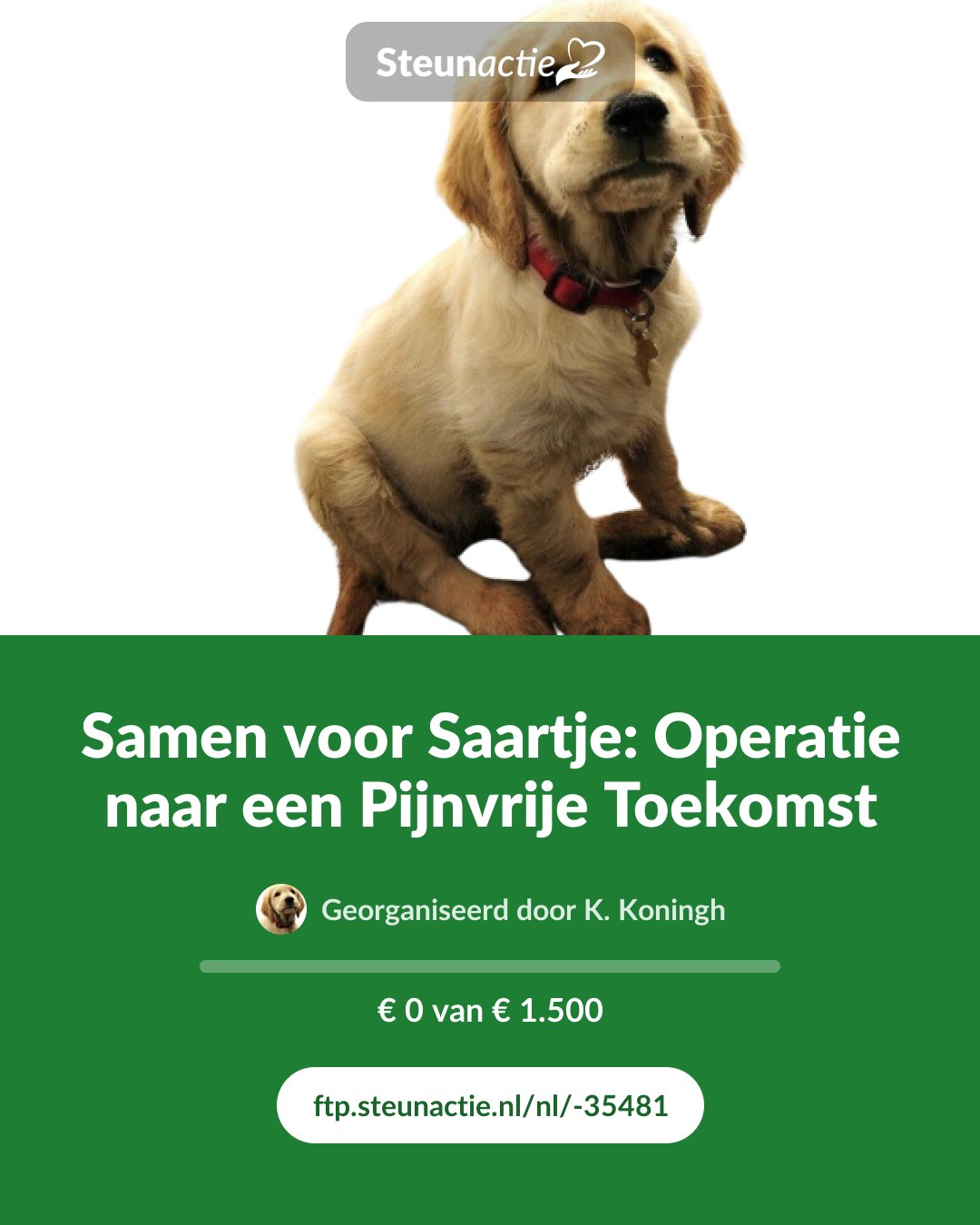 Voorbeeld van de afbeelding