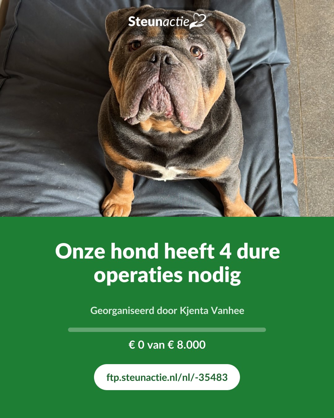 Voorbeeld van de afbeelding