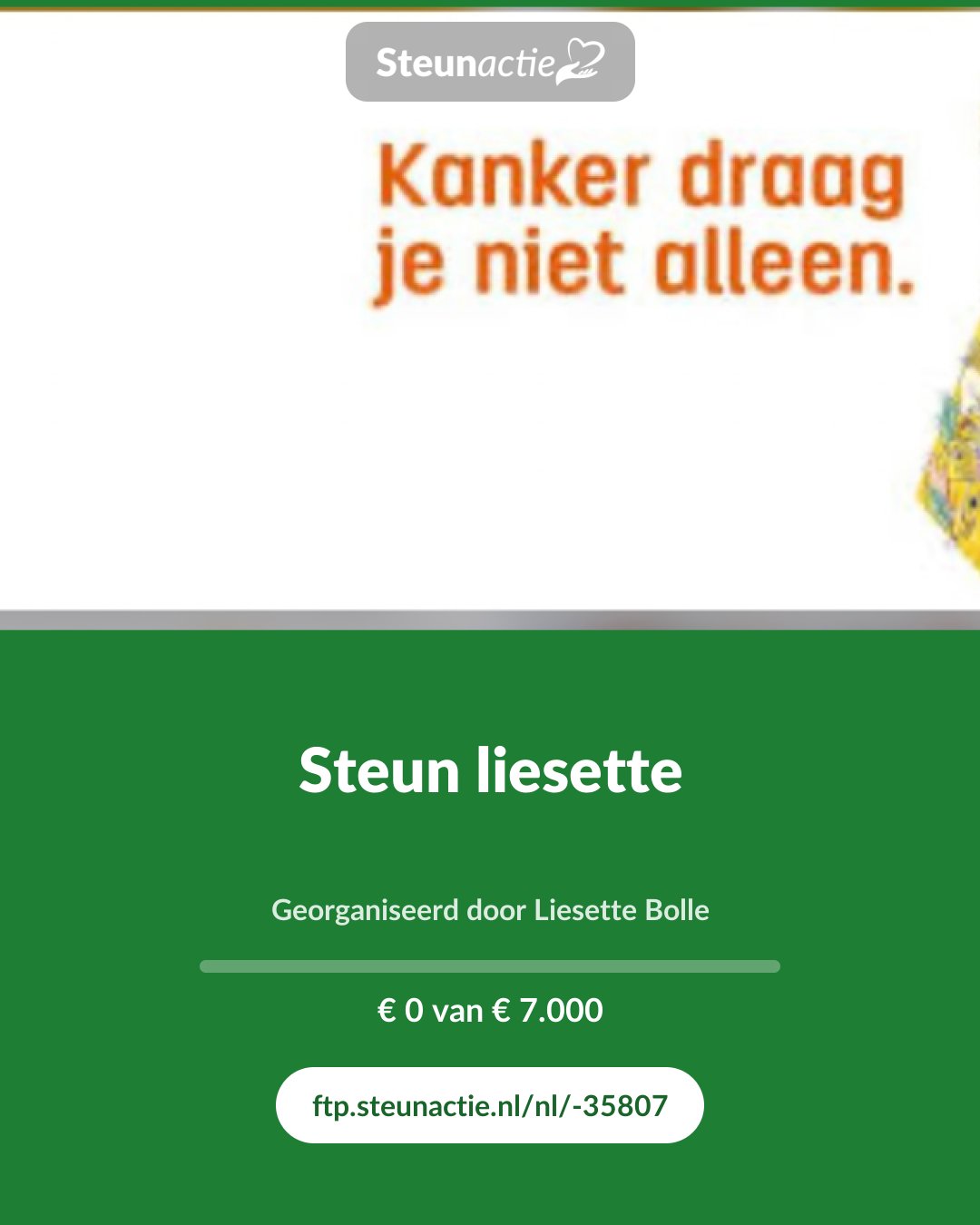 Voorbeeld van de afbeelding