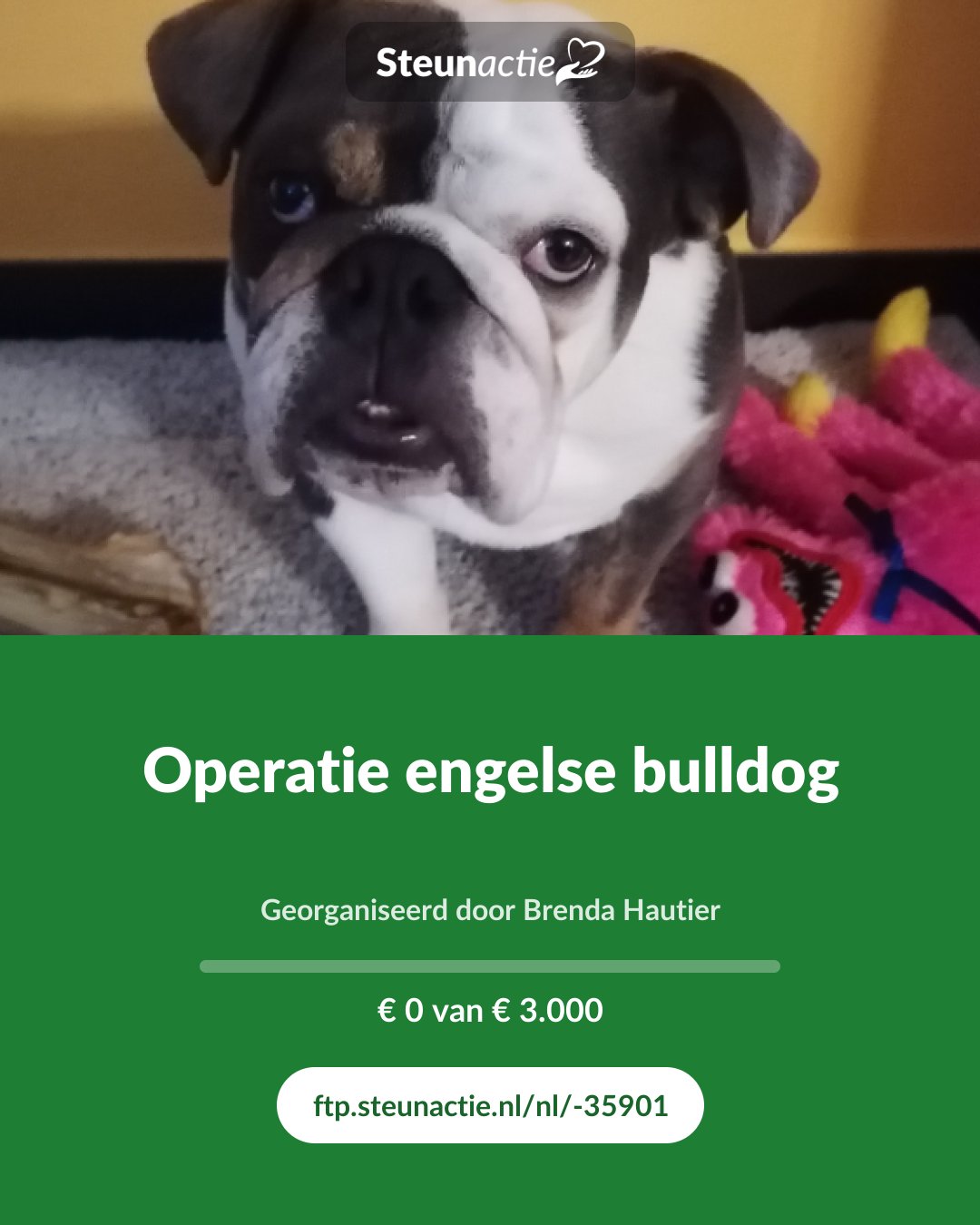 Voorbeeld van de afbeelding