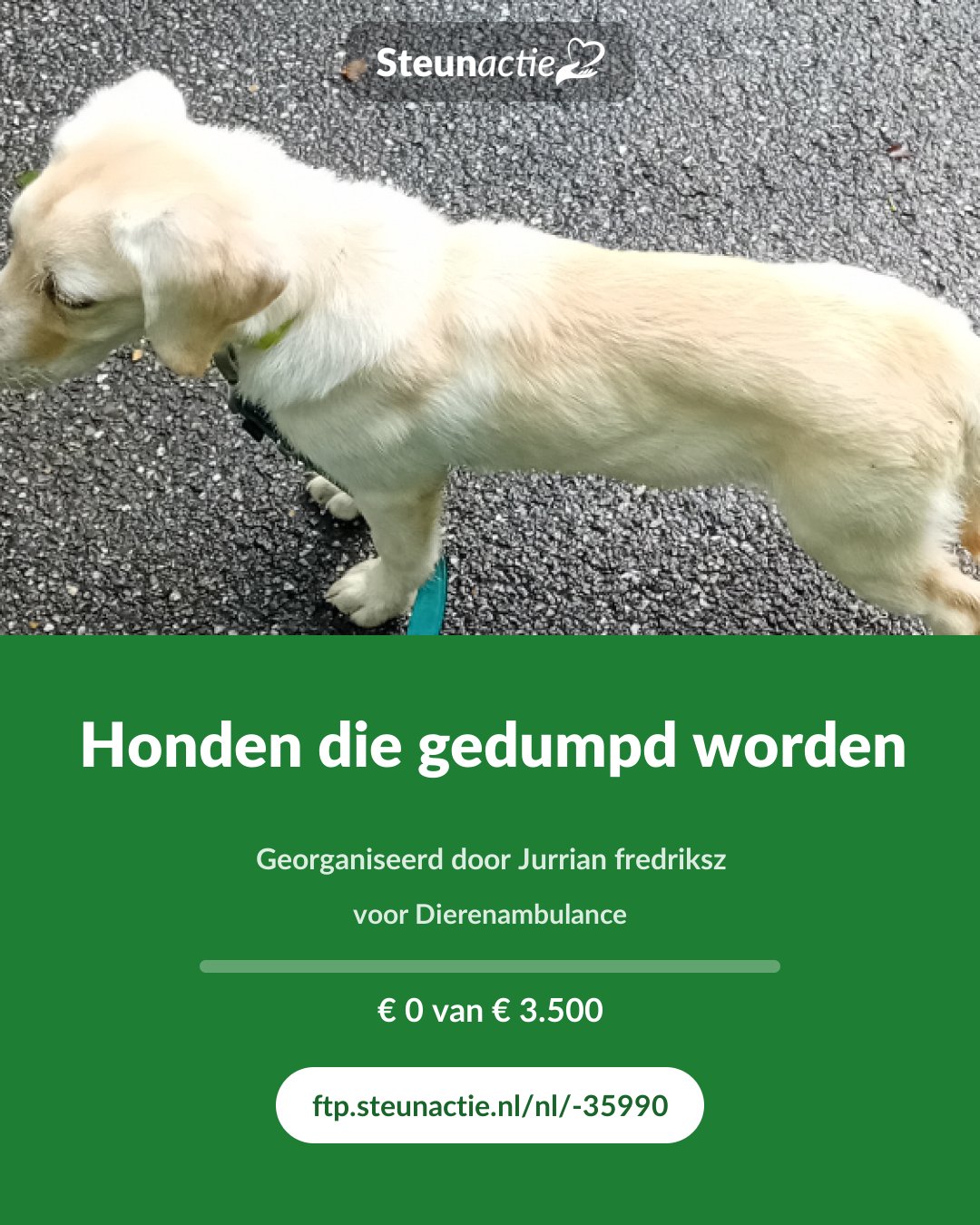 Voorbeeld van de afbeelding