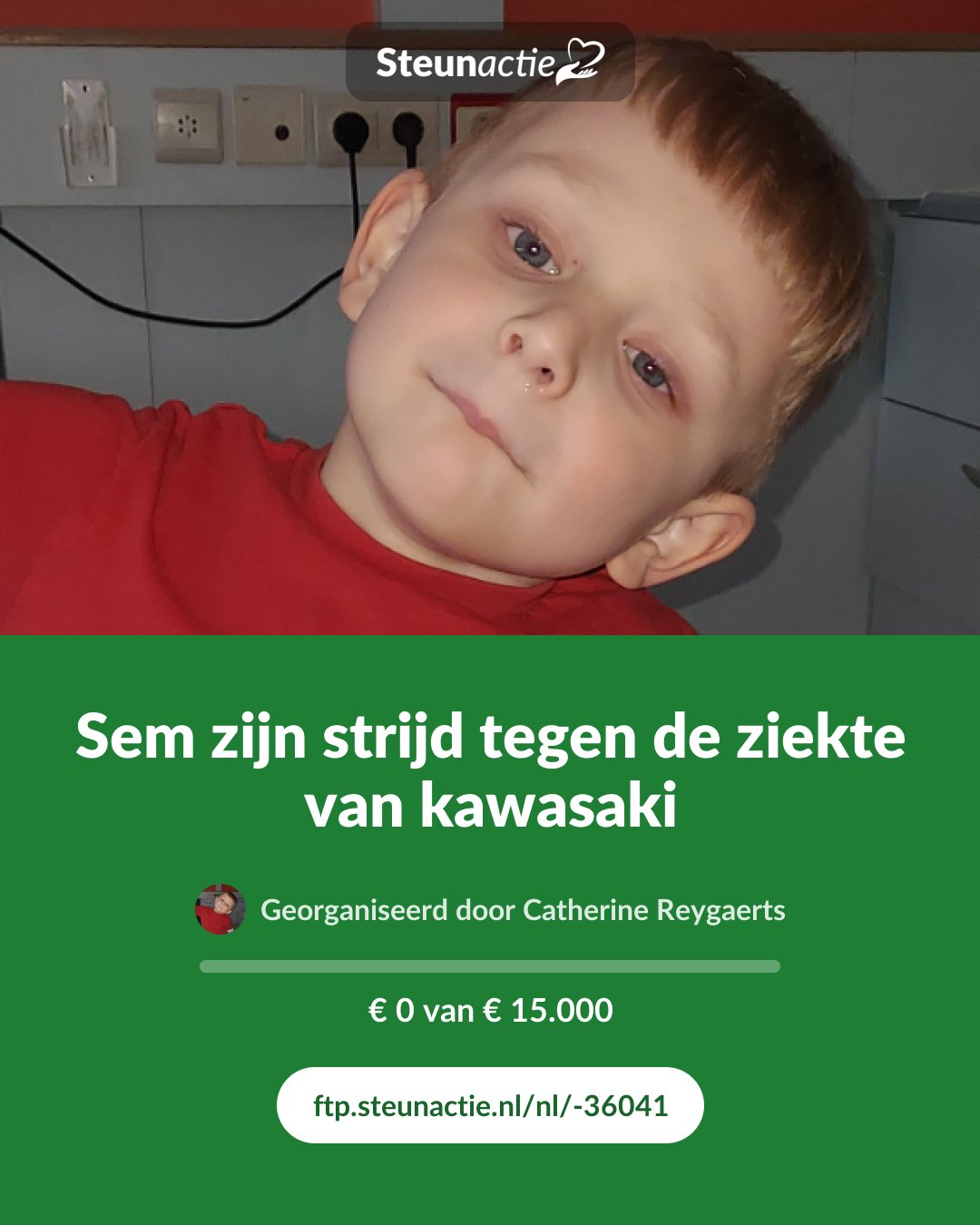 Voorbeeld van de afbeelding