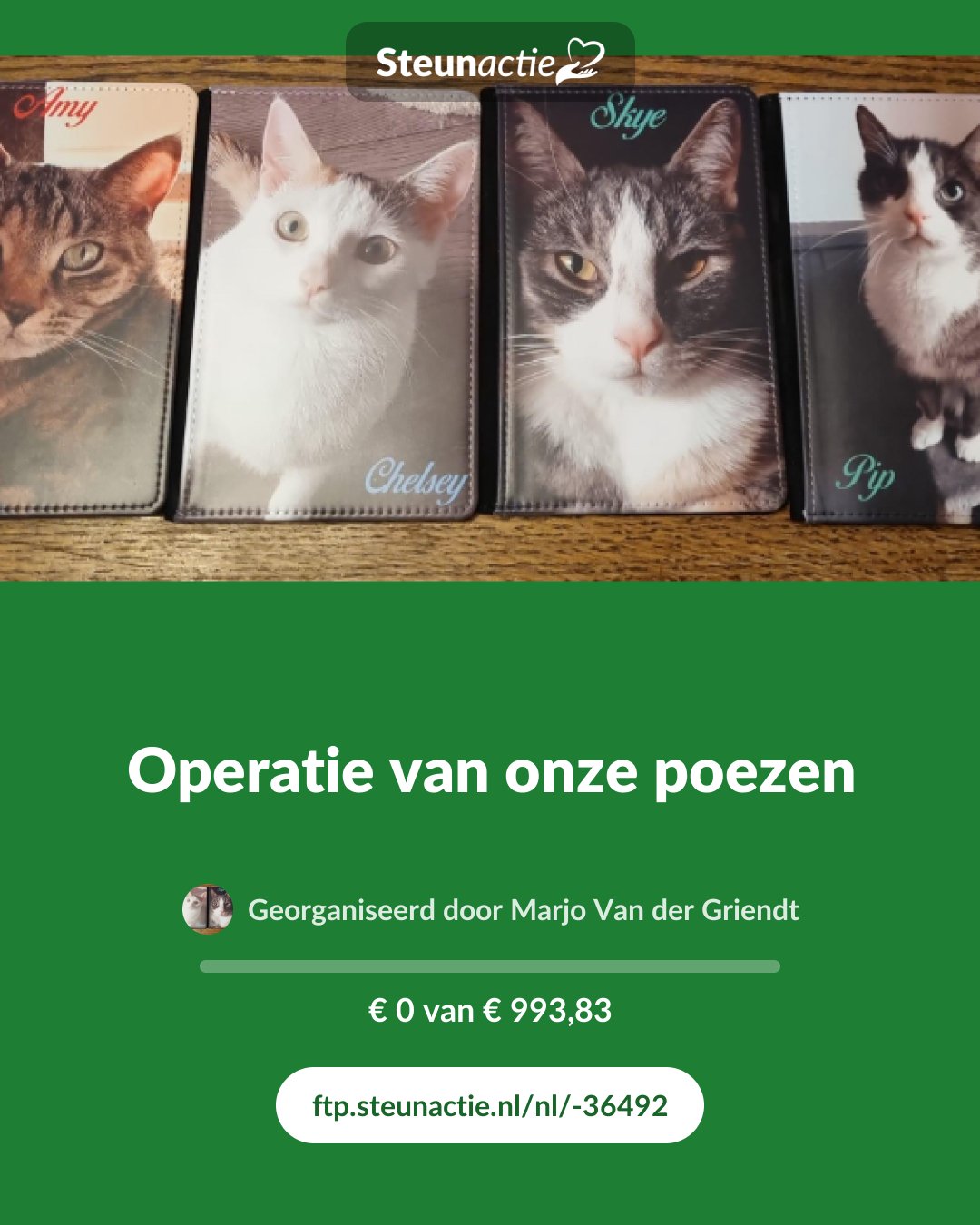 Voorbeeld van de afbeelding