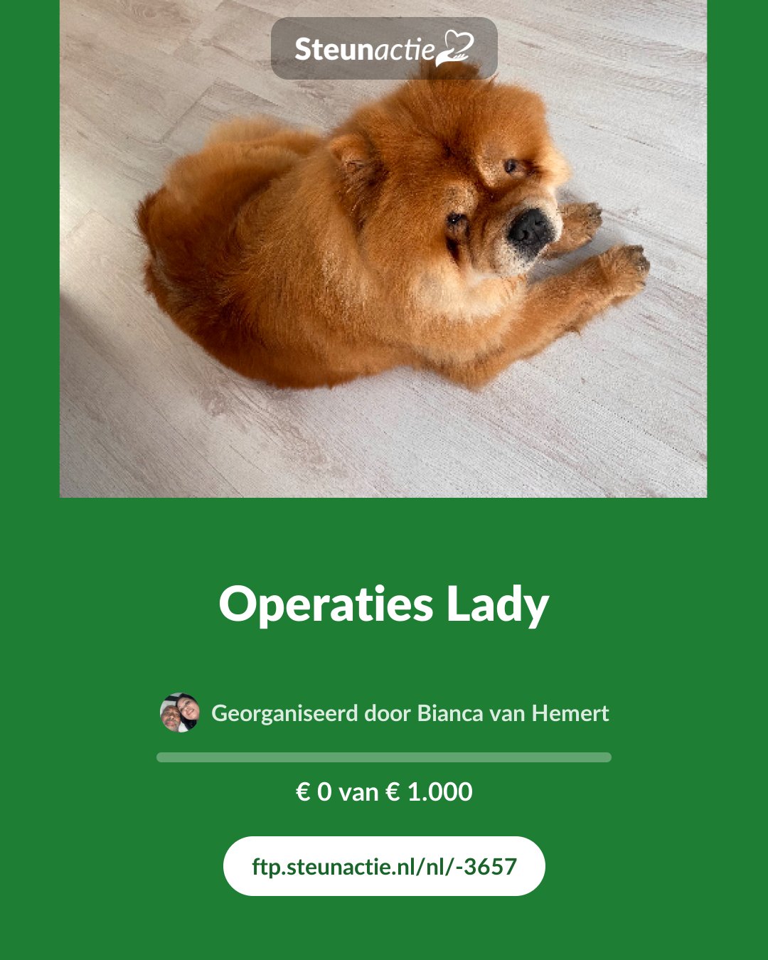 Voorbeeld van de afbeelding