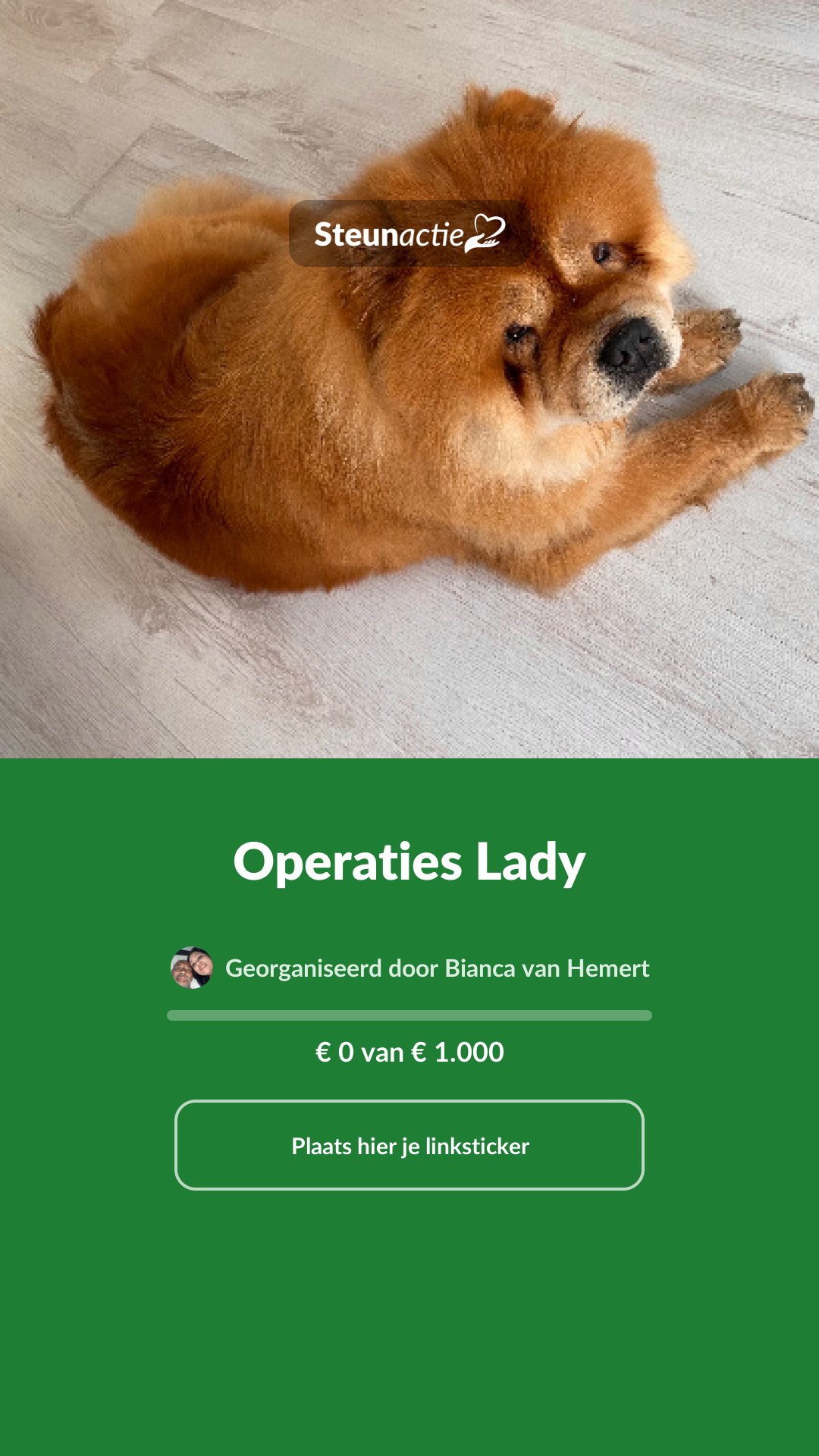 Voorbeeld van de afbeelding