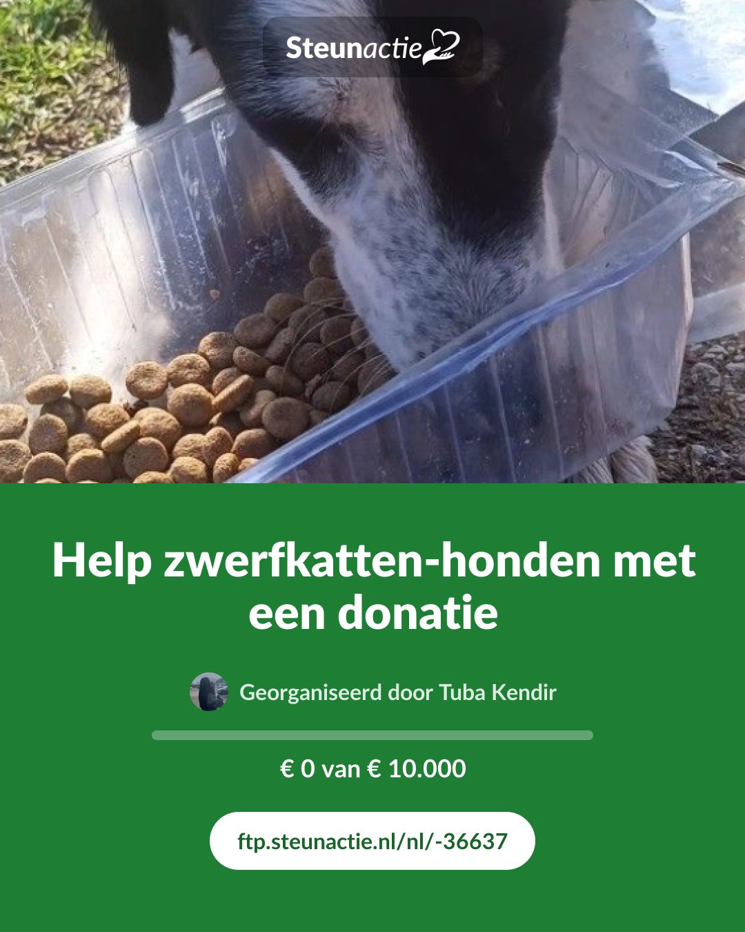 Voorbeeld van de afbeelding