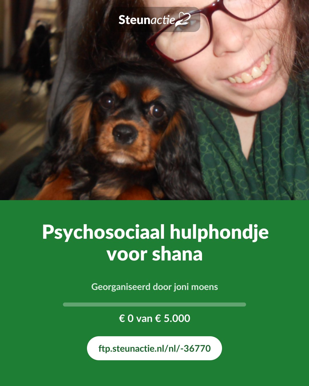 Voorbeeld van de afbeelding